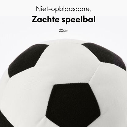 Future Champion Bundle